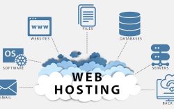 What is the best hosting server for beginners?